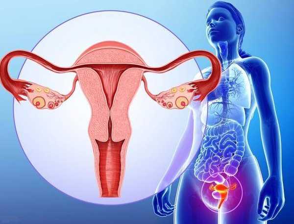 卵巢早衰怎样才能快速怀孕&找代孕要注意什么,到底得了什么妇科病？